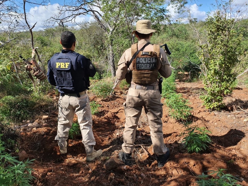 Projeto de lei acaba com nota de corte em concursos policiais da União.